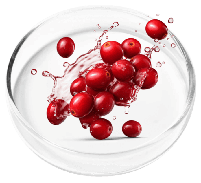 Cranberry Extract